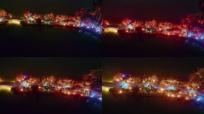 V1-0041_D航拍广东省惠州西湖夜景