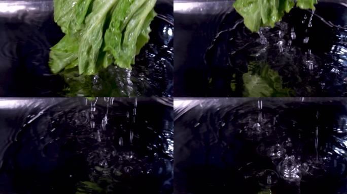 生菜从水中拎起