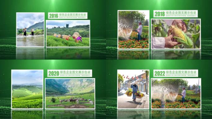 绿色生态农业图文展示包装