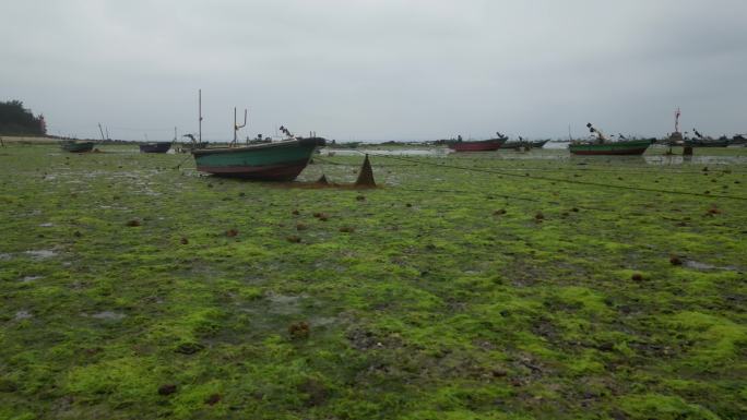 沼泽 渔船 搁浅 草地 航拍 4K