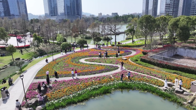台州和合公园鲜花航拍