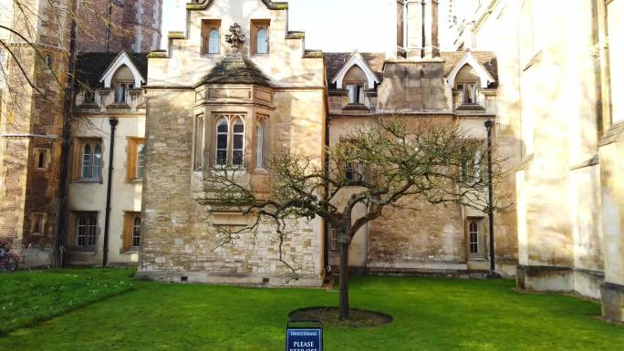 剑桥大学牛顿苹果树