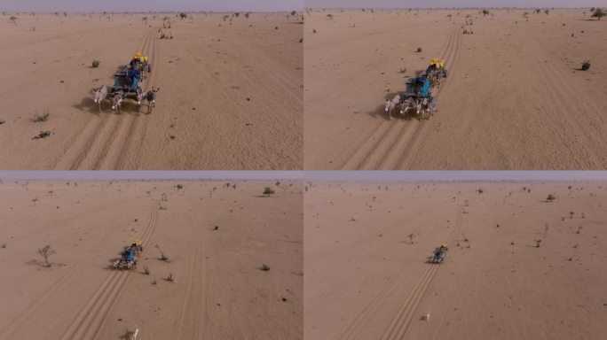 航拍缩小。两个黑人赶着驴车带着饮用水回他们的村庄。萨赫勒，撒哈拉沙漠，塞内加尔。干旱，气候变化，沙漠