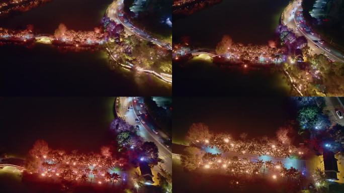 V1-0047_D航拍广东省惠州西湖夜景