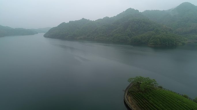 六安茶谷茶园延时六安茶谷航拍水库茶园风光