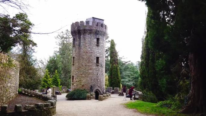 爱尔兰鲍尔考斯特城堡