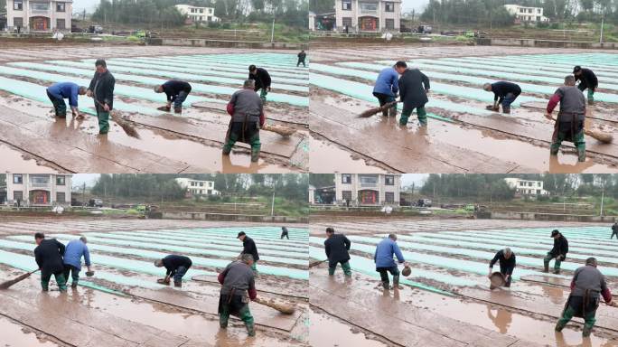 重庆南川：春分时节劳作忙