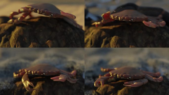 3D螃蟹攀岩