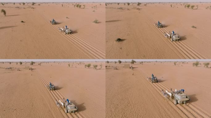 空中后方特写视图。两个黑人赶着驴车带着饮用水回他们的村庄。萨赫勒，撒哈拉沙漠，塞内加尔。干旱，气候变