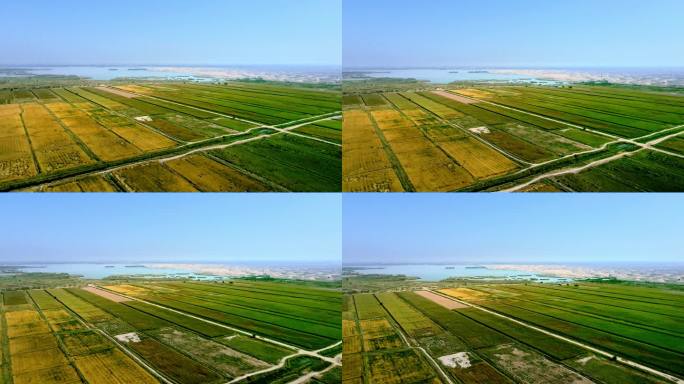 平原大地湖泊湿地稻田航拍