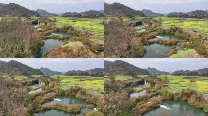 航拍云南九龙瀑布油菜花蓝天白云河流花草春