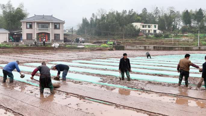 重庆南川：春分时节劳作忙