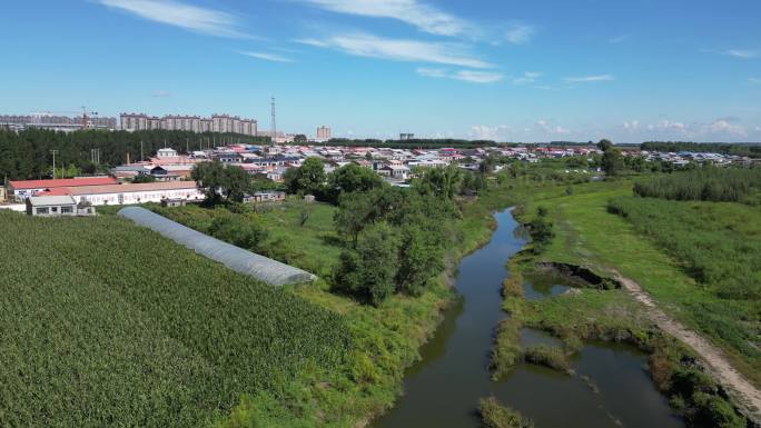 绥化市兰西县城市风光河流绿色夏季