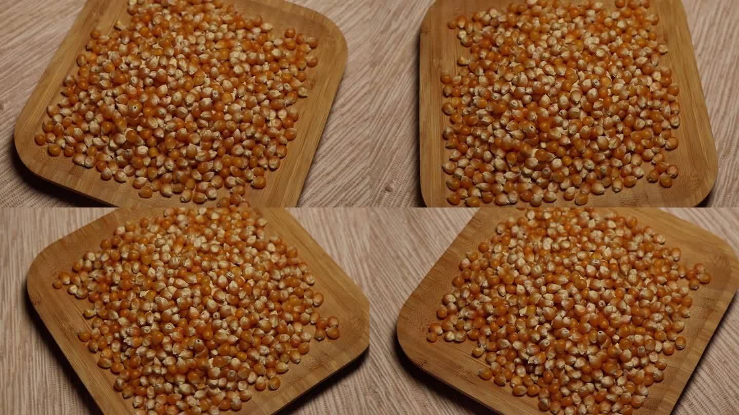 竹盘里的玉米豆。干玉米:用于制作爆米花的干玉米