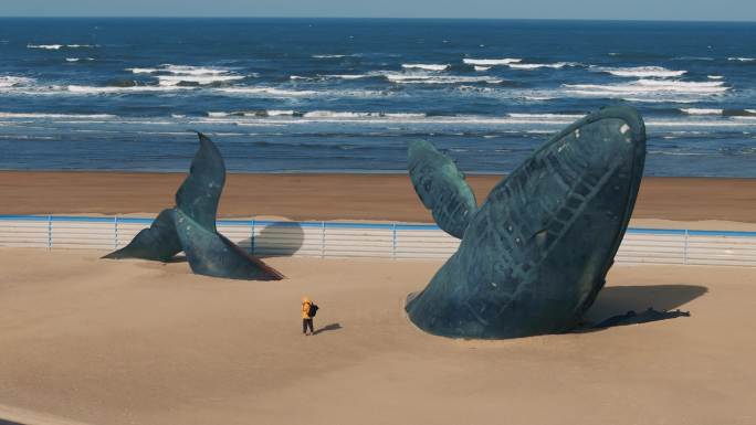 烟台金沙滩大鲸鱼