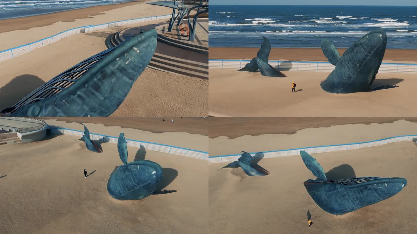 烟台金沙滩大鲸鱼