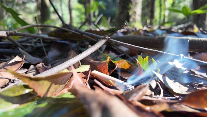 森林防火素材  燃烧的烟头