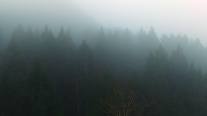 朦胧山林晨雾迷雾