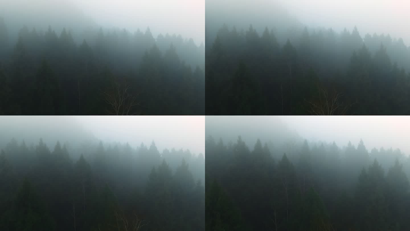 朦胧山林晨雾迷雾