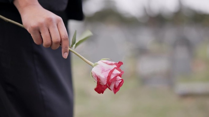 葬礼，墓地和手持玫瑰的人纪念，仪式和追悼会。忧郁、死亡和花的特写为哀悼，悲伤和失去亲人的墓地