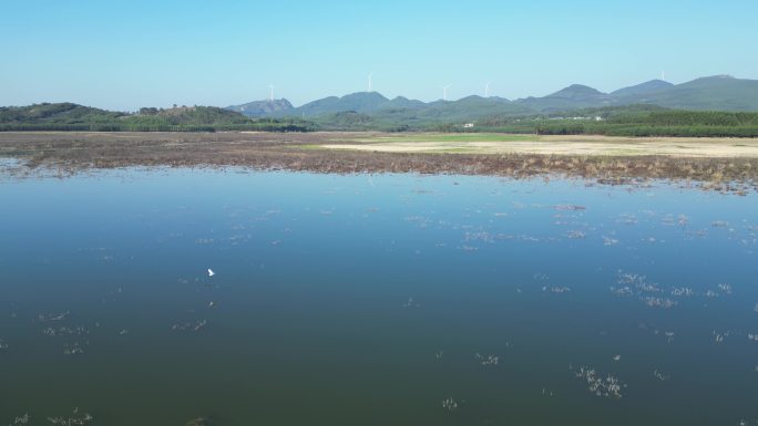 湖面飞鸟山水风景自然风光