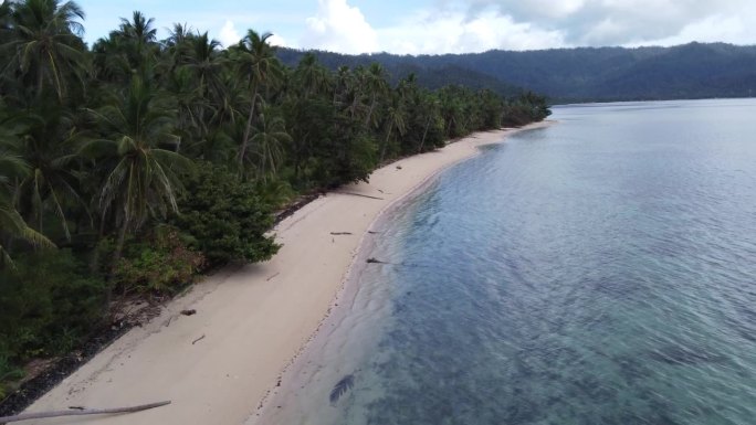 热带巴顿港白沙滩与棕榈树，巴拉望岛，菲律宾。空中