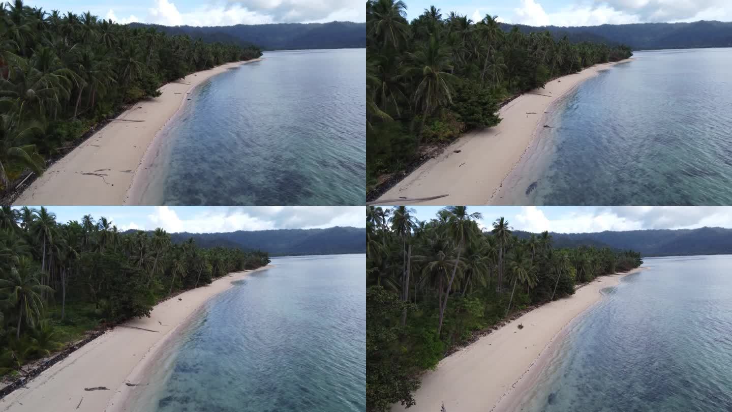 热带巴顿港白沙滩与棕榈树，巴拉望岛，菲律宾。空中
