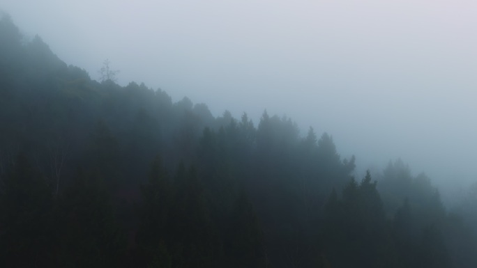 航拍朦胧森林浓雾大景