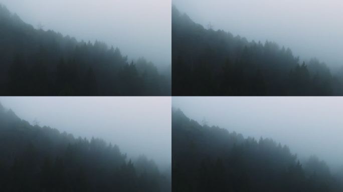 航拍朦胧森林浓雾大景