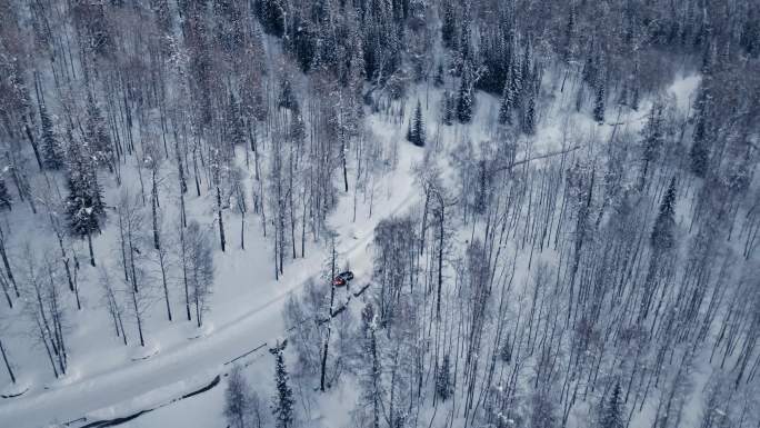 车行驶在雪景树林