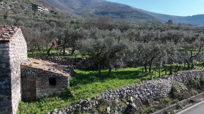 橄榄树旁的乡村石屋。Vallecorsa, Frosinone，意大利。