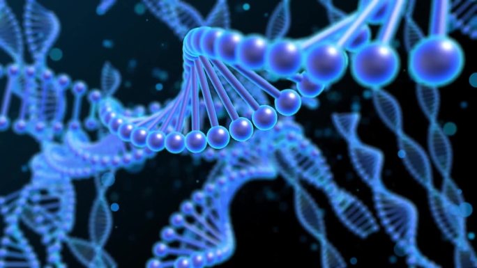 人类细胞生物学DNA链分子结构图解