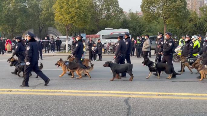 大型活动武警执勤警犬1