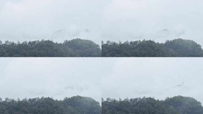 高山和森林中飘渺的云雾