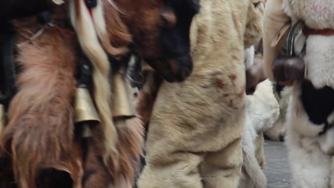 保加利亚的异教徒kukeri节，人们穿着山羊和绵羊的皮，带着铃铛，随着鼓乐的节奏移动。一个奇怪的狂野