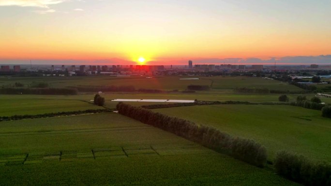 农村农田夕阳日落延时