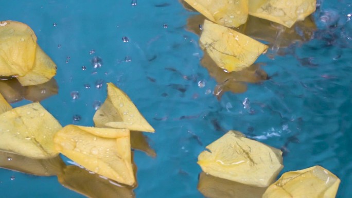 漂浮在水面上的花瓣水珠滴落