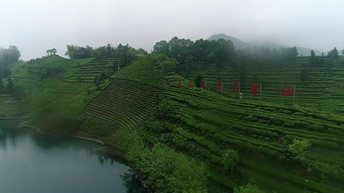 六安茶谷生态茶园航拍茶园水库茶园风光