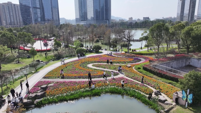 台州和合公园鲜花航拍