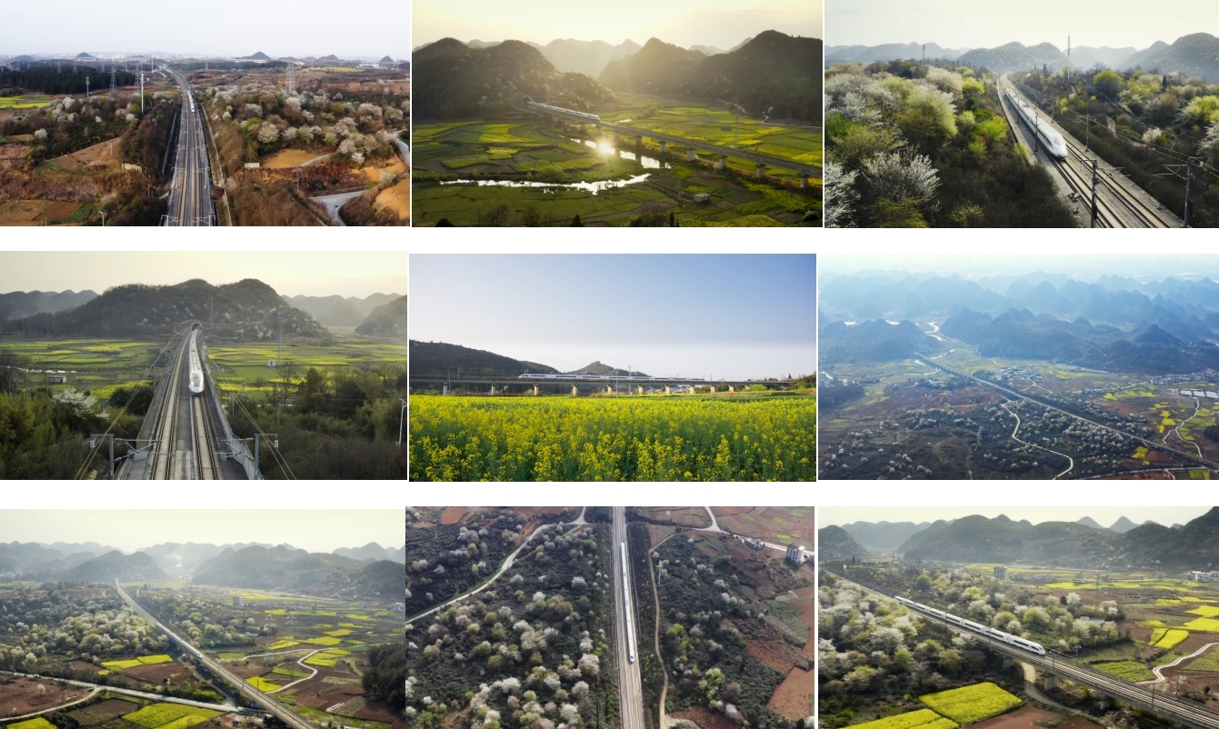 高铁穿过油菜花春天