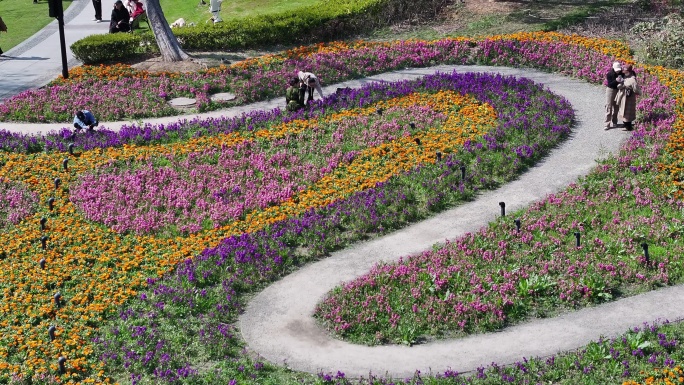 台州和合公园鲜花航拍