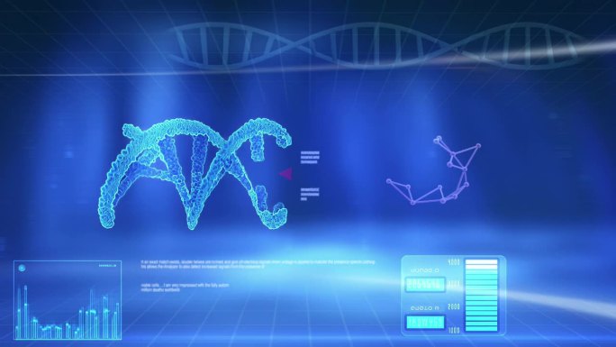 人体DNA螺旋三维全息模型的三维动画计算机分析