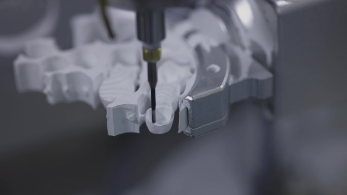 T0812牙齿研究制造 牙科牙套义齿模型