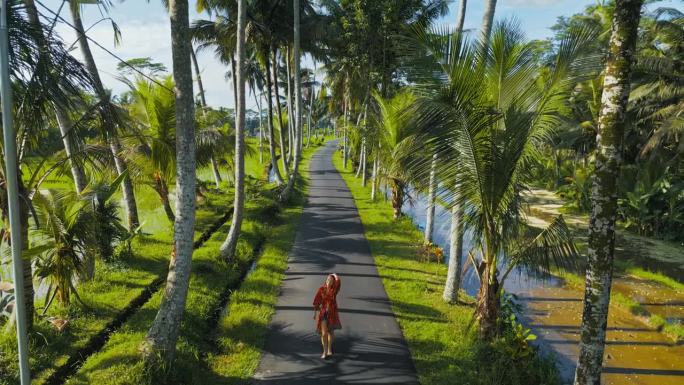 鸟瞰身穿红色和服的女子走在椰子树间的路上