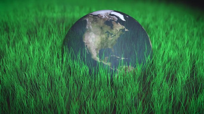 地球位于茂密高大的绿草中，是可持续发展、绿色星球、气候保护和世界保存的概念