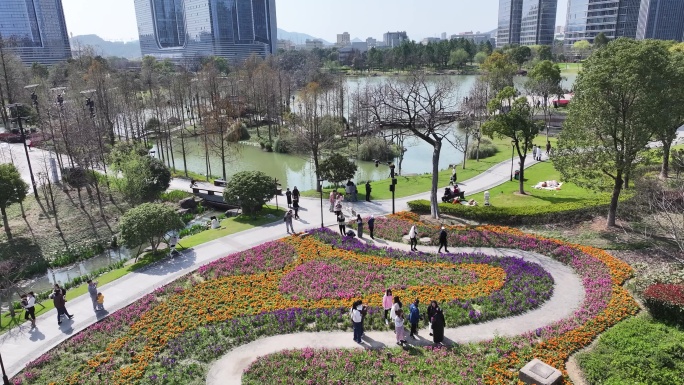 台州和合公园鲜花航拍