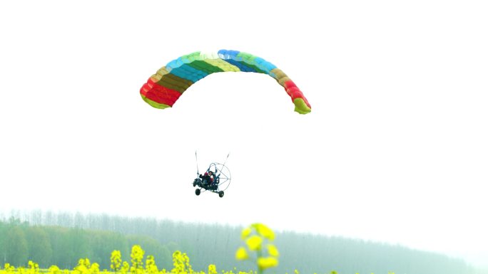 油菜花海滑翔机滑翔伞乡村旅游