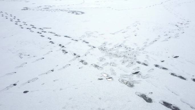 冰雪上的连串脚印平坦白雪上的脚印