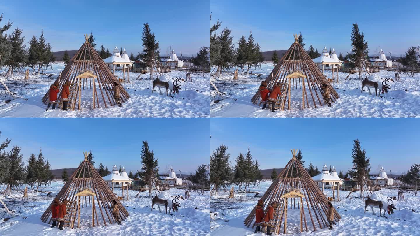 使鹿部落猎民迁徙到西乌乞亚营地搭建撮罗子