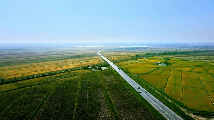 平原大地公路稻田大景航拍